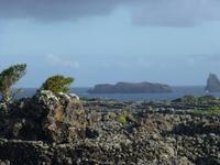 Insel Pico &ndash; &copy; Kerstin Hugel (Eberhardt TRAVEL)