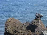 Insel Pico &ndash; &copy; Kerstin Hugel (Eberhardt TRAVEL)