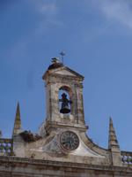 ...mit Storchennest &ndash; &copy; Joscha Koob (Eberhardt TRAVEL)