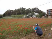 Mohn, nicht egal! &ndash; &copy; Joscha Koob (Eberhardt TRAVEL)