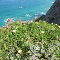 Cabo da Roca &ndash; &copy; Barbara Mihut (Eberhardt TRAVEL)