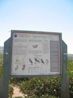 Besuch von Cabo da Roca &ndash; &copy; Stefanie Knisse (Eberhardt TRAVEL)