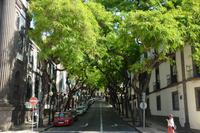 Funchal &ndash; &copy; Reinhard Kappes (Eberhardt TRAVEL)