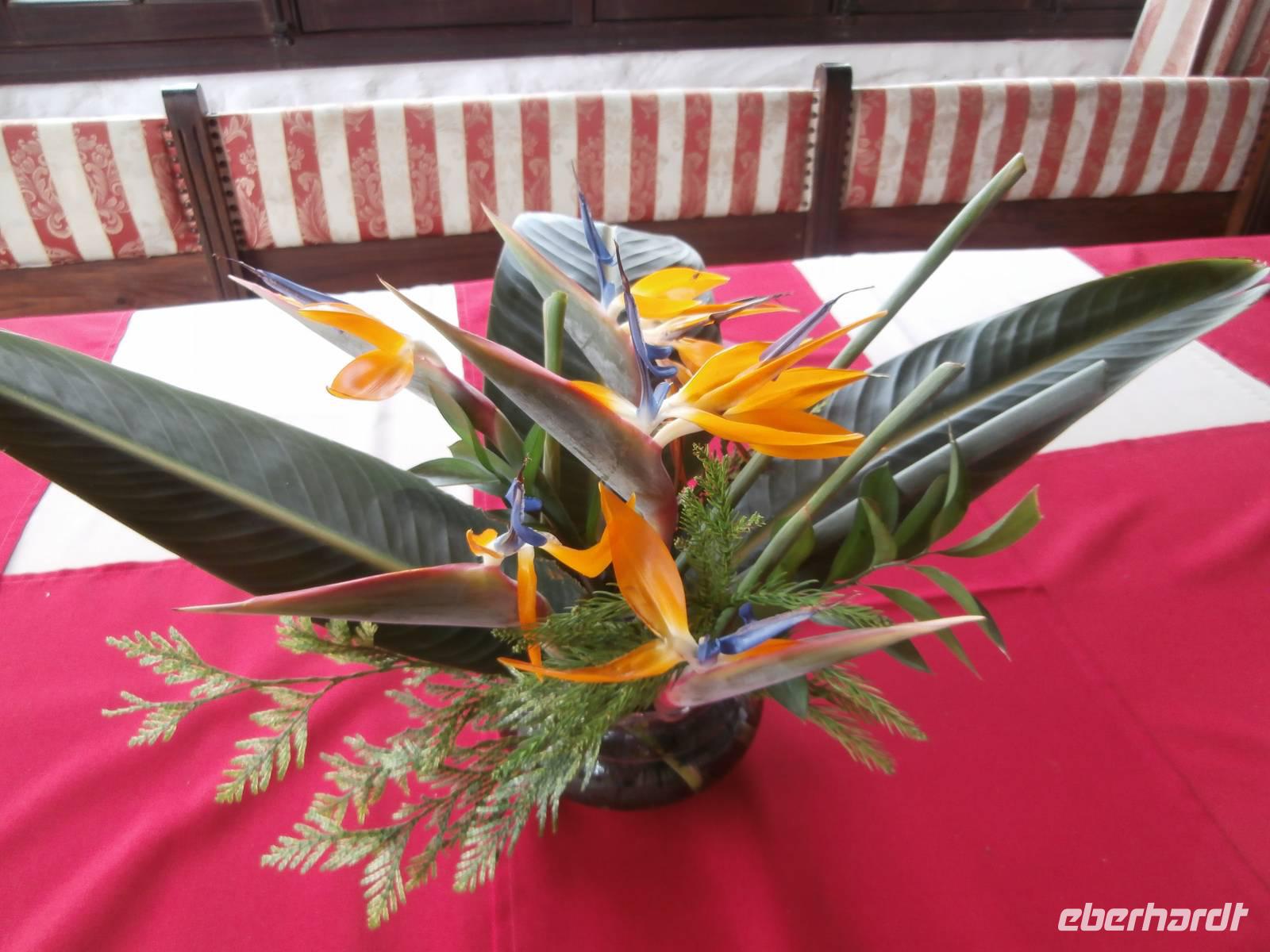 Madeiras Blumen &ndash; &copy; Ingrid Langer (Eberhardt TRAVEL)