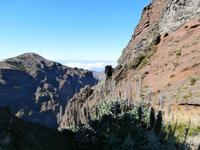 Stolz Madeiras &ndash; &copy; Ingrid Langer (Eberhardt TRAVEL)
