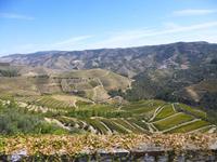 Tag 6_Fahrt durch die Weinberge nach Pinhao (1) &ndash; &copy; Isabel Schirmer (Eberhardt TRAVEL)