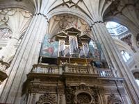 Tag 7_Ausflug nach Salamanca (18) &ndash; &copy; Isabel Schirmer (Eberhardt TRAVEL)