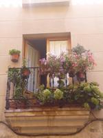 Tag 7_Ausflug nach Salamanca (8) &ndash; &copy; Isabel Schirmer (Eberhardt TRAVEL)