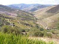 Tag 8_Ausflug entlang der Weinroute (3) &ndash; &copy; Isabel Schirmer (Eberhardt TRAVEL)