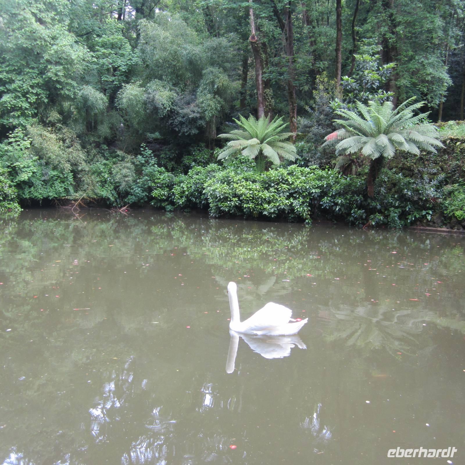 Bucaco &ndash; &copy; Barbara Mihut (Eberhardt TRAVEL)