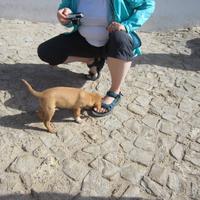 Cabo de Sao Vicente &ndash; &copy; Barbara Mihut (Eberhardt TRAVEL)