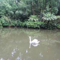 Bucaco &ndash; &copy; Barbara Mihut (Eberhardt TRAVEL)