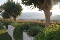 Quinta Pacheca &ndash; &copy; Franziska Schütt (Eberhardt TRAVEL)