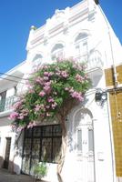 077. Haus in Olhao &ndash; &copy; Sophie Hof (Eberhardt TRAVEL)