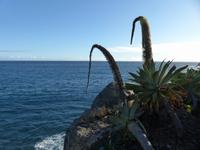 002. Canico, Madeira &ndash; &copy; Maria Michel (Eberhardt TRAVEL)