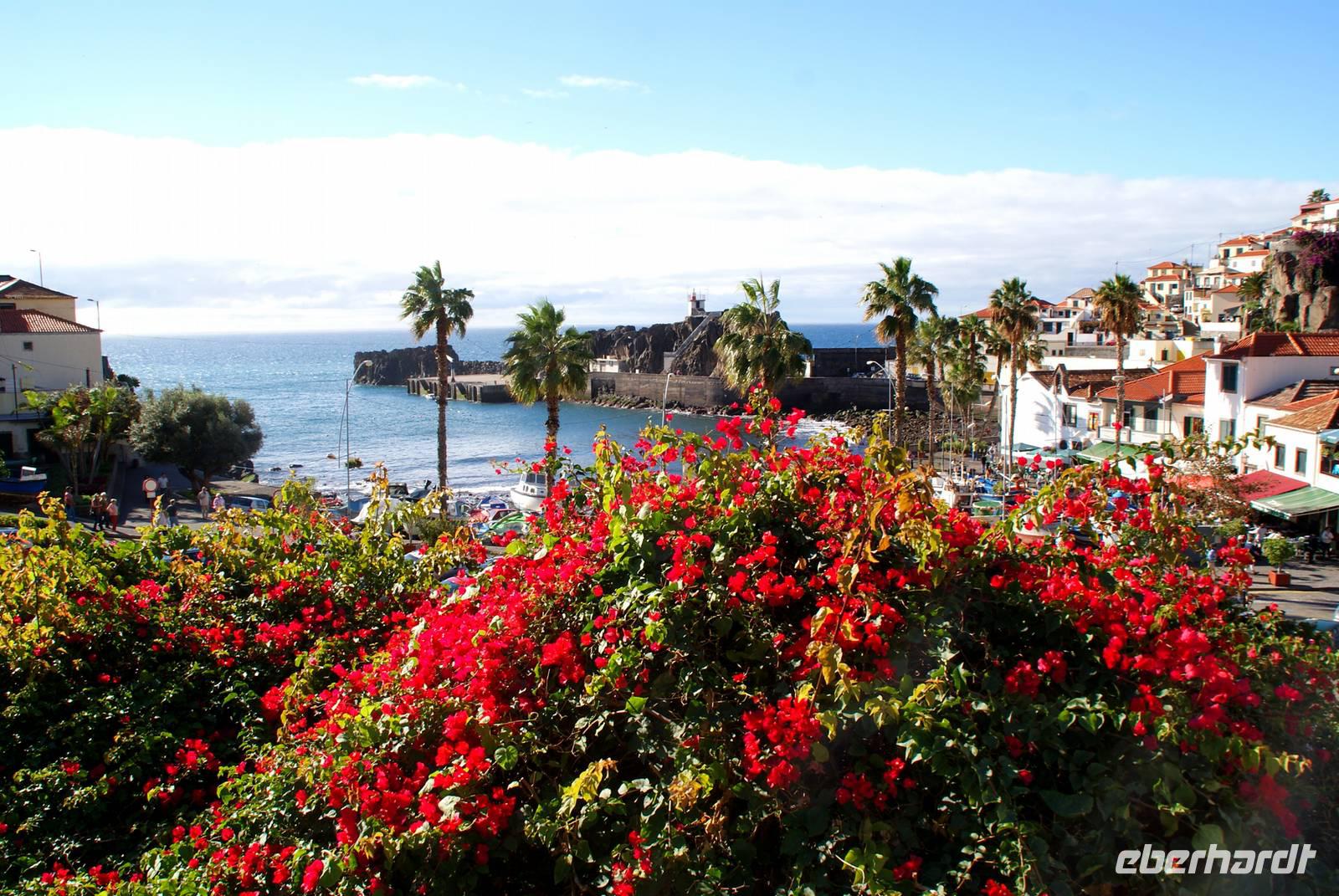 Camara de Lobos &ndash; &copy; Susanne Schirmann (Eberhardt TRAVEL)
