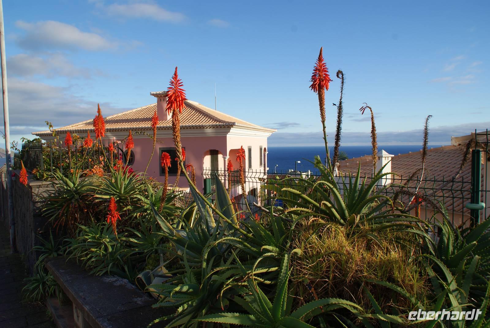 Madeira-Silvester im Atlantik 29.12.15-05.01.16 &ndash; &copy; Susanne Schirmann (Eberhardt TRAVEL)