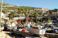 Camara de Lobos &ndash; &copy; Susanne Schirmann (Eberhardt TRAVEL)