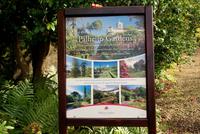 Palheiro Gardens &ndash; &copy; Susanne Schirmann (Eberhardt TRAVEL)