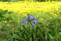 im Blandy's Garten &ndash; &copy; Susanne Schirmann (Eberhardt TRAVEL)