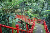 Monte Palace-Tropical Garden &ndash; &copy; Susanne Schirmann (Eberhardt TRAVEL)