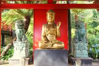 Monte Palace-Tropical Garden &ndash; &copy; Susanne Schirmann (Eberhardt TRAVEL)