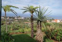 Madeira-Silvester im Atlantik 29.12.-05.01.16 &ndash; &copy; Susanne Schirmann (Eberhardt TRAVEL)