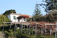 Quinta de SÃ£o JoÃ£o &ndash; &copy; Anna Stiebing (Eberhardt TRAVEL)