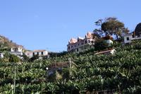 Centro de Bananicultura &ndash; &copy; Anna Stiebing (Eberhardt TRAVEL)