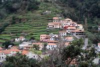 Levada von Maroços &ndash; &copy; Anna Stiebing (Eberhardt TRAVEL)
