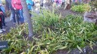 Botanischer Garten &ndash; &copy; Philip Seidel (Eberhardt TRAVEL)