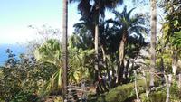 Botanischer Garten &ndash; &copy; Philip Seidel (Eberhardt TRAVEL)