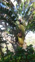 Botanischer Garten &ndash; &copy; Philip Seidel (Eberhardt TRAVEL)