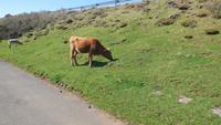 Wanderung zu den 25 Quellen &ndash; &copy; Philip Seidel (Eberhardt TRAVEL)
