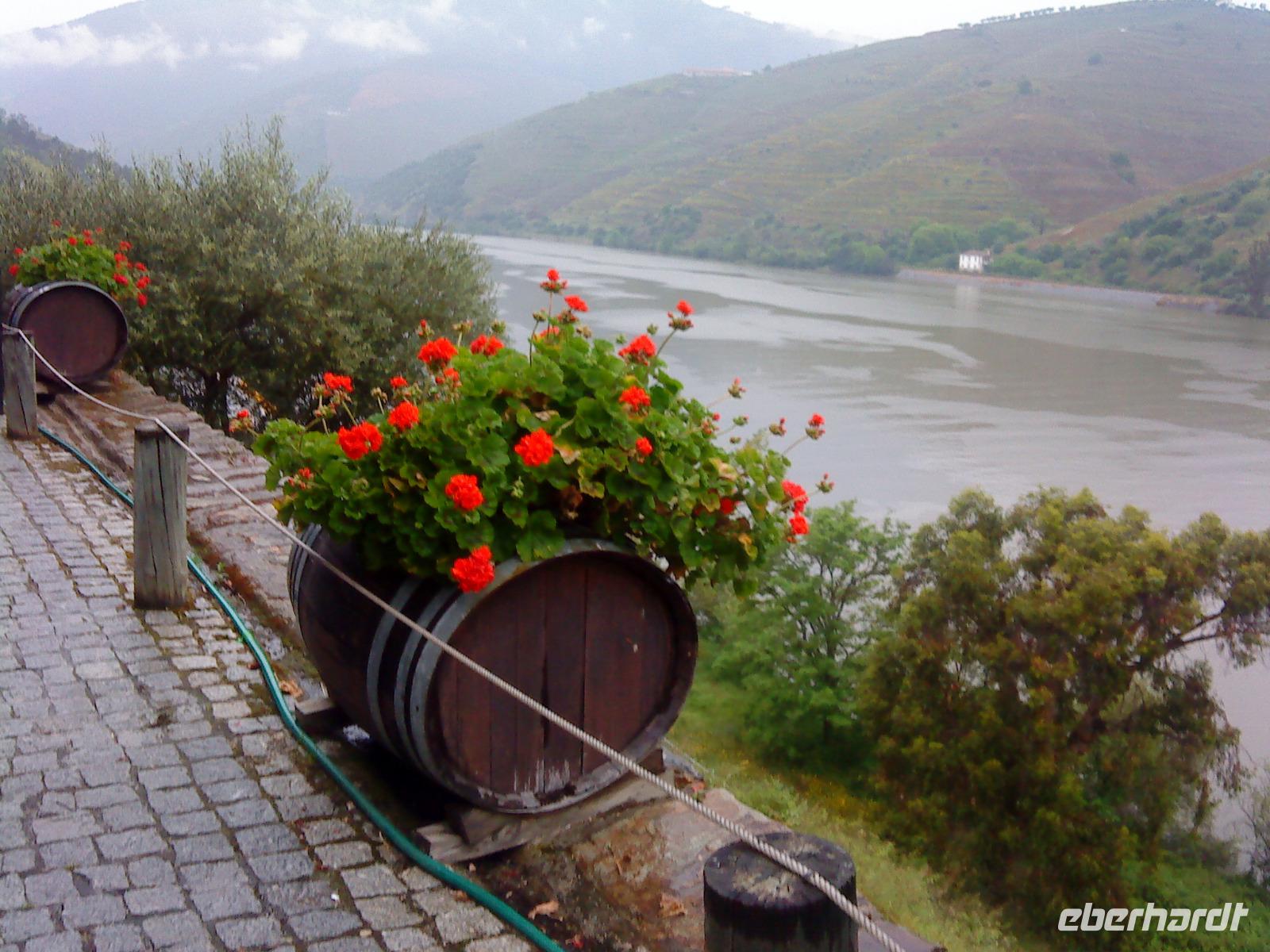 Quinta do Tedo &ndash; &copy; Barbara Mihut (Eberhardt TRAVEL)