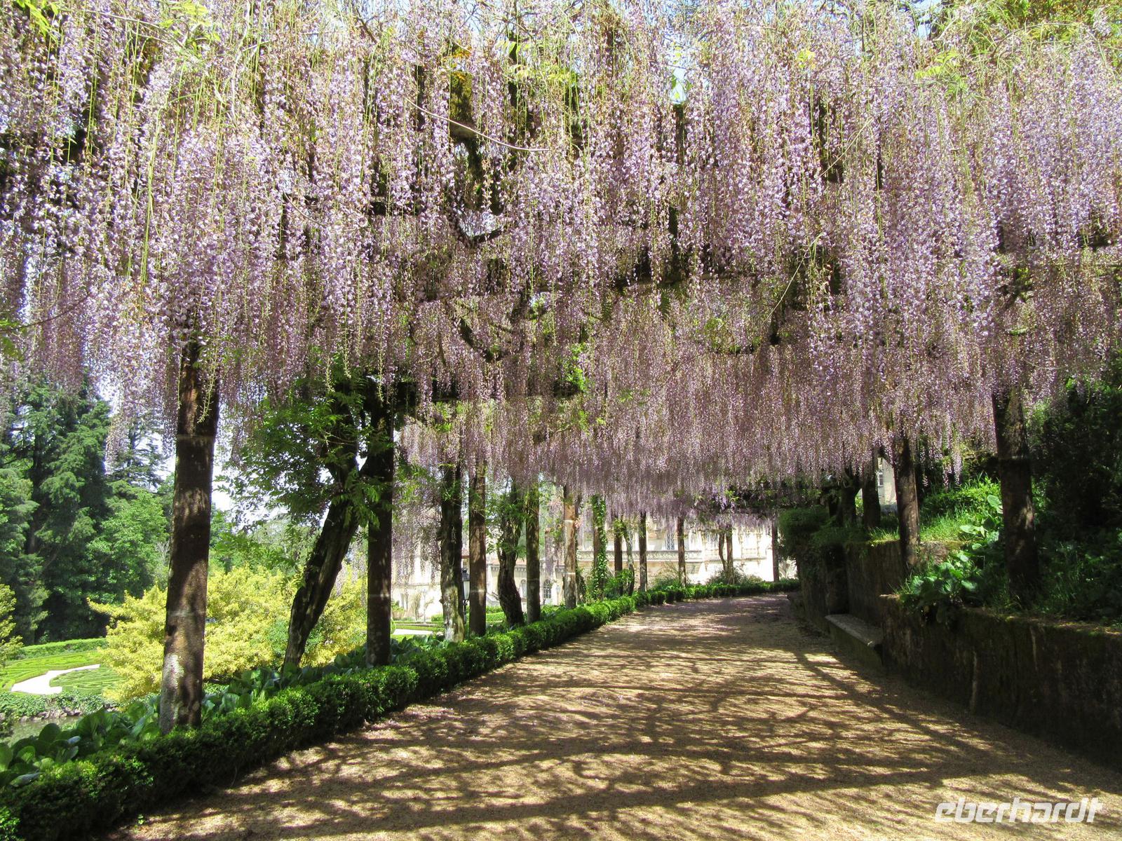 Parque von Bussaco &ndash; &copy; Rico Manns (Eberhardt TRAVEL)