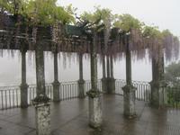 Bom Jesus &ndash; &copy; Rico Manns (Eberhardt TRAVEL)