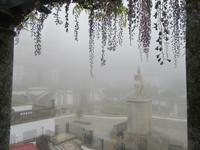 Bom Jesus &ndash; &copy; Rico Manns (Eberhardt TRAVEL)