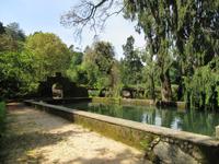 Parque von Bussaco &ndash; &copy; Rico Manns (Eberhardt TRAVEL)