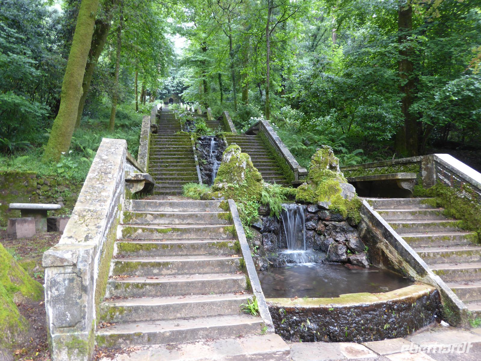 Park von Bussaco &ndash; &copy; Sabine Letzybyll (Eberhardt TRAVEL)