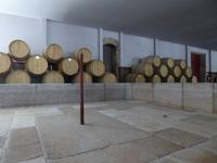 Weinkellerei Pacheca &ndash; &copy; Sabine Letzybyll (Eberhardt TRAVEL)