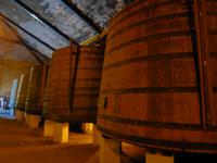 Weinkellerei Pacheca &ndash; &copy; Sabine Letzybyll (Eberhardt TRAVEL)