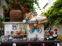 Obidos &ndash; &copy; Sabine Letzybyll (Eberhardt TRAVEL)