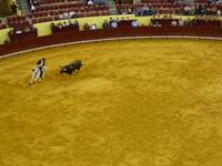 Campo Pequeno - Stierkampfarena Lissabon &ndash; &copy; Sabine Letzybyll (Eberhardt TRAVEL)