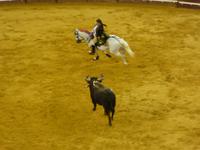 Campo Pequeno - Stierkampfarena Lissabon &ndash; &copy; Sabine Letzybyll (Eberhardt TRAVEL)