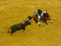 Campo Pequeno - Stierkampfarena Lissabon &ndash; &copy; Sabine Letzybyll (Eberhardt TRAVEL)