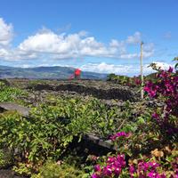 image &ndash; &copy; Ngoc Anh Nguyen (Eberhardt TRAVEL)