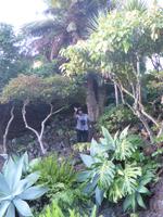 P1000677 &ndash; &copy; Ngoc Anh Nguyen (Eberhardt TRAVEL)