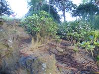 P1000682 &ndash; &copy; Ngoc Anh Nguyen (Eberhardt TRAVEL)