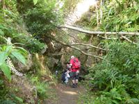 P1000745 &ndash; &copy; Ngoc Anh Nguyen (Eberhardt TRAVEL)